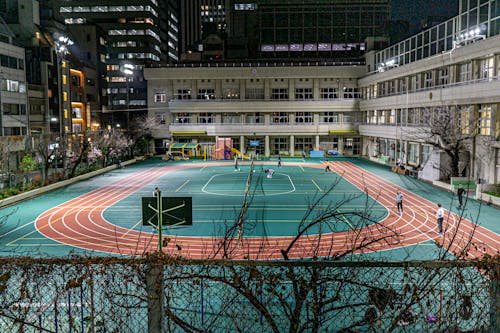 慈利：大型情景马术剧《茶马雄风》匠心焕新