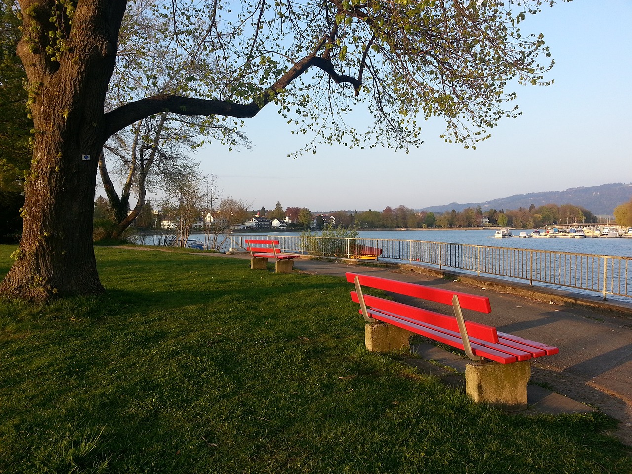 图拉姆：我和科纳特几乎每天都联系，和他的较量会很精彩