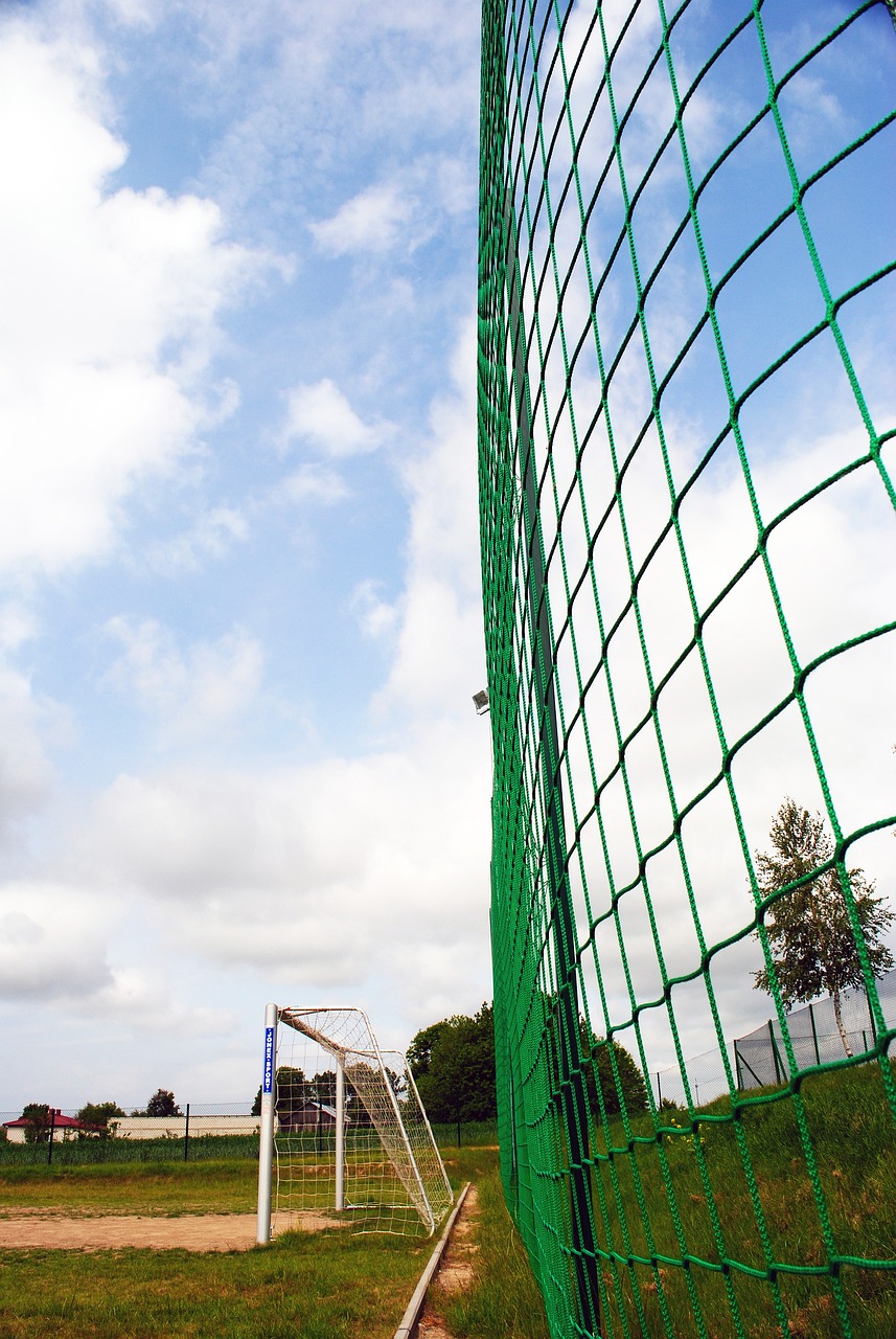 以及他们是 以及他们是