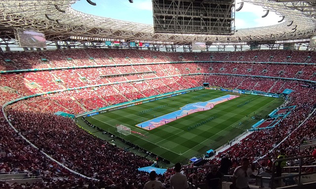 独行侠不摆 独行侠不摆