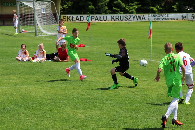 体育竞技在 体育竞技在