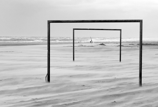 黄希揚的精 黄希揚的精