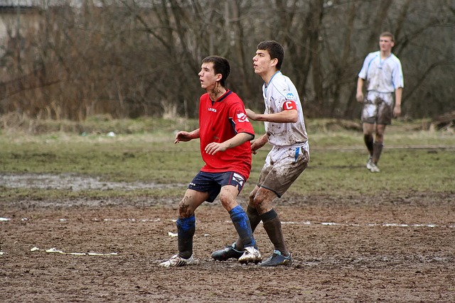 冰雪运动的 冰雪运动的