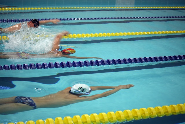 地域风貌 地域风貌