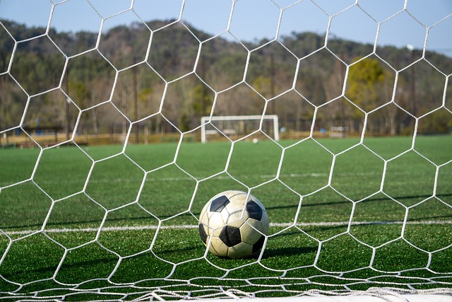 获得更加全 获得更加全