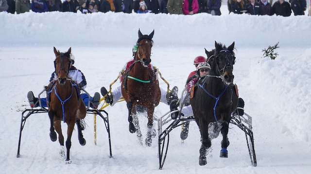 拳中思理 拳中思理