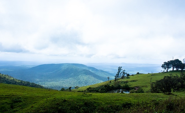 直观地了解 直观地了解