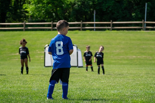配和球员们 配和球员们