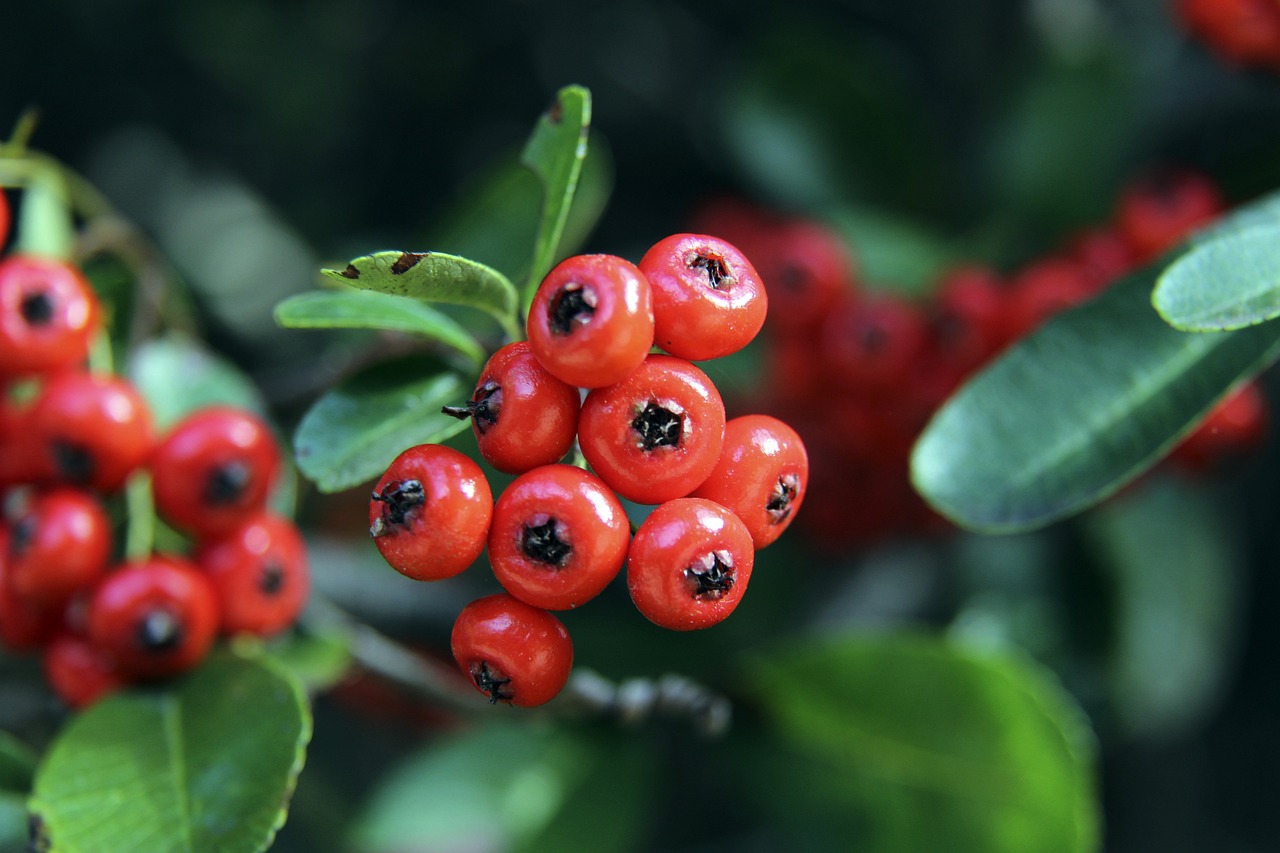 技艺上的全 技艺上的全