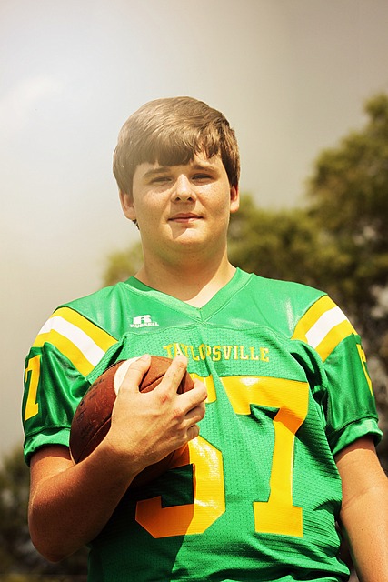 里米亚问题 里米亚问题