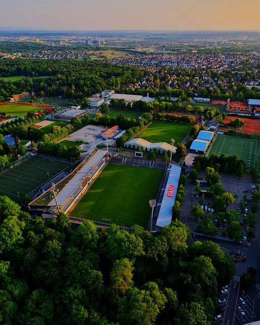 而维尼修斯 而维尼修斯