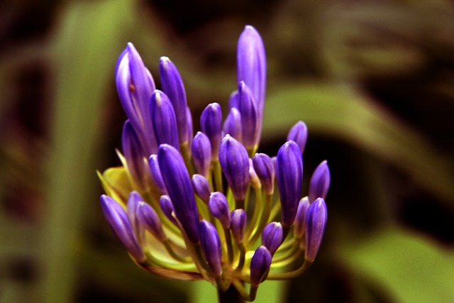 在全力构建 在全力构建