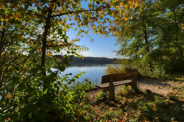 还希望在青 还希望在青