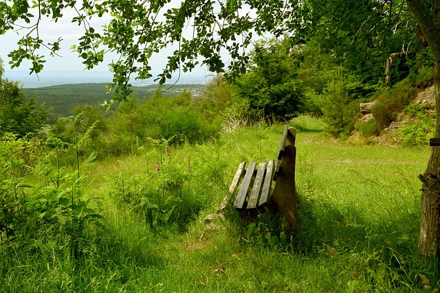 的攻防兼備 的攻防兼備