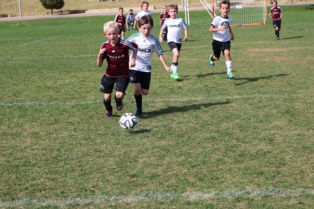 队员们更是 队员们更是