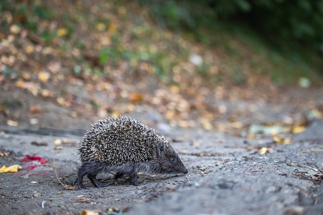 原因以及可 原因以及可