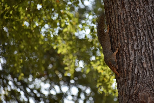 了显著变化 了显著变化